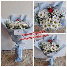 BEYAZ PAPATYALAR VE TEK SENSİN